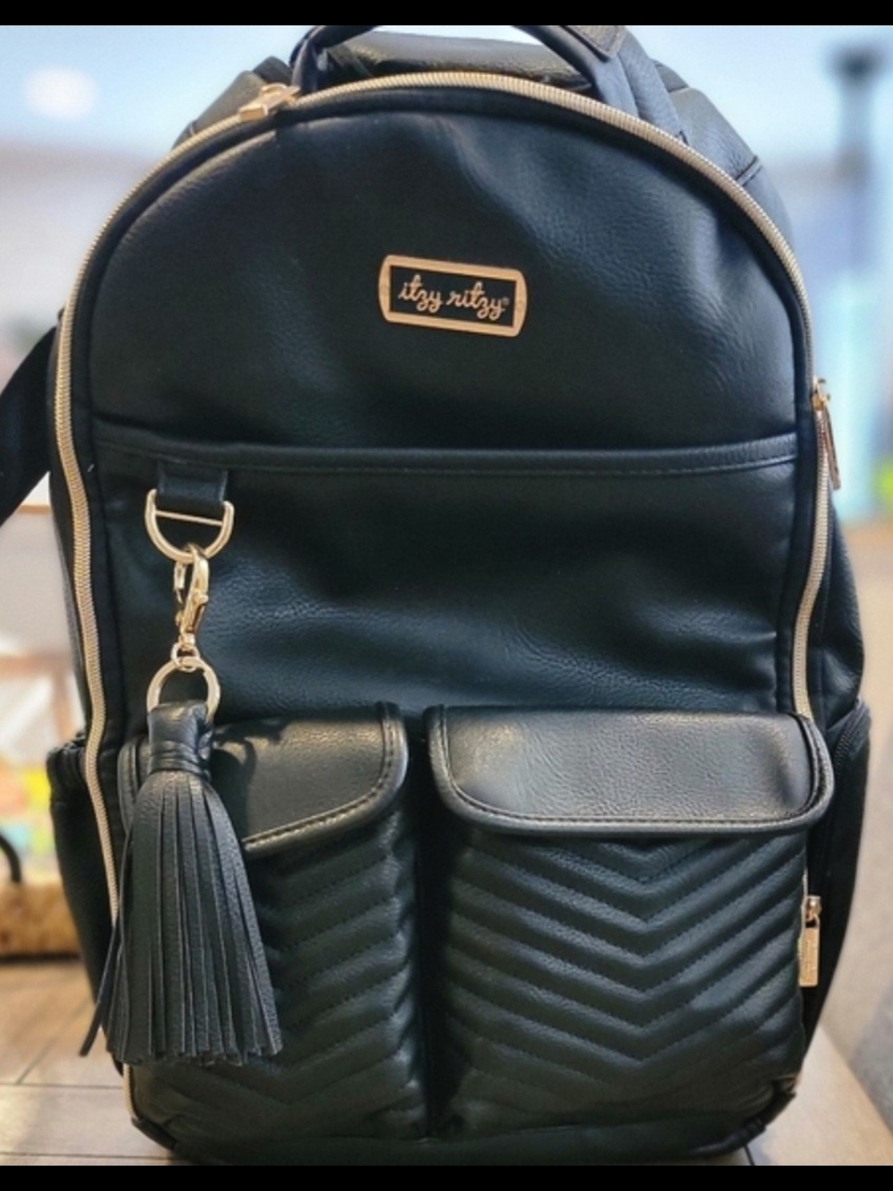 Itzy Ritzy Boss Plus diaper bag